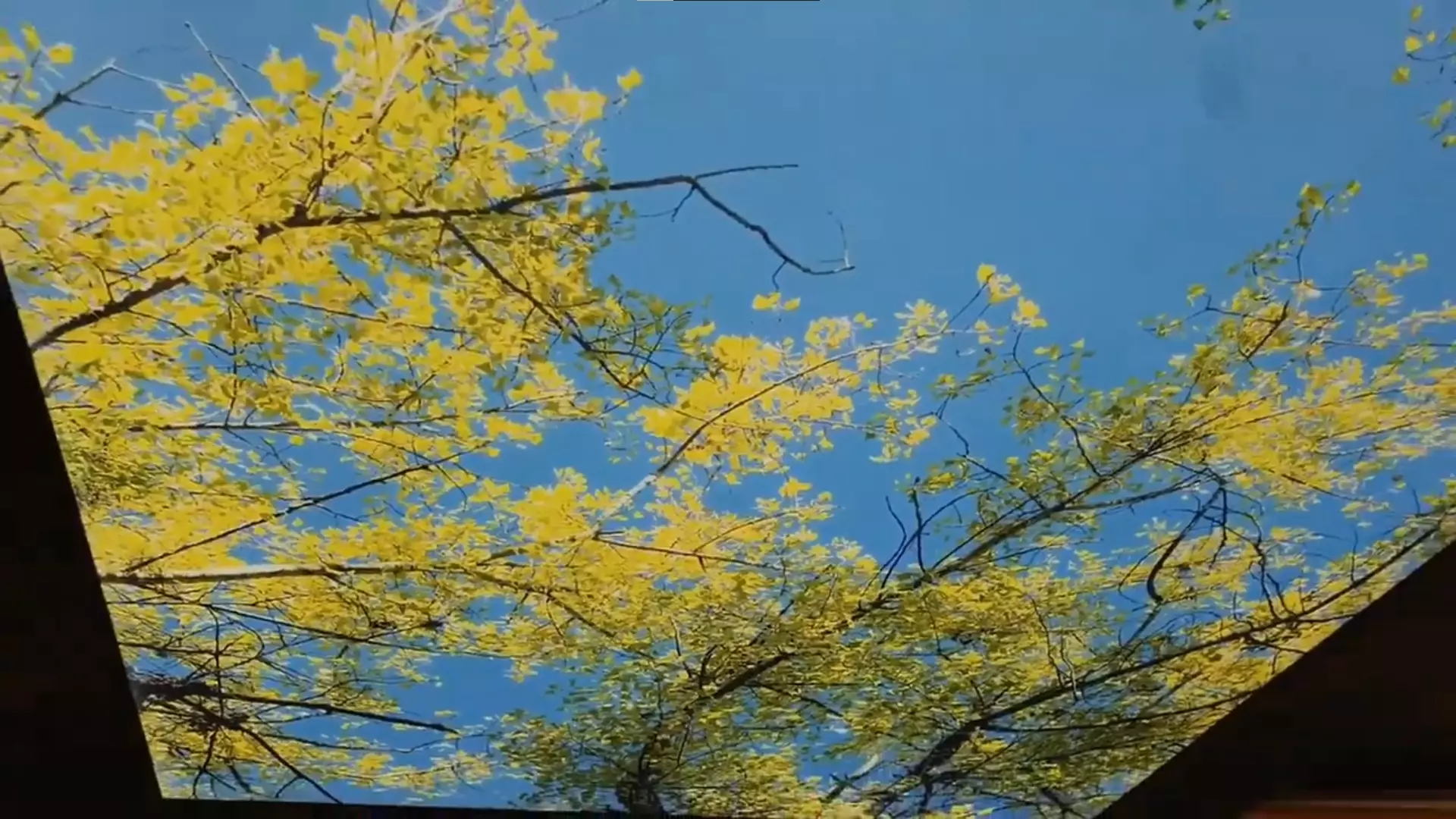 Херсон, Ленина, 26, фото 2