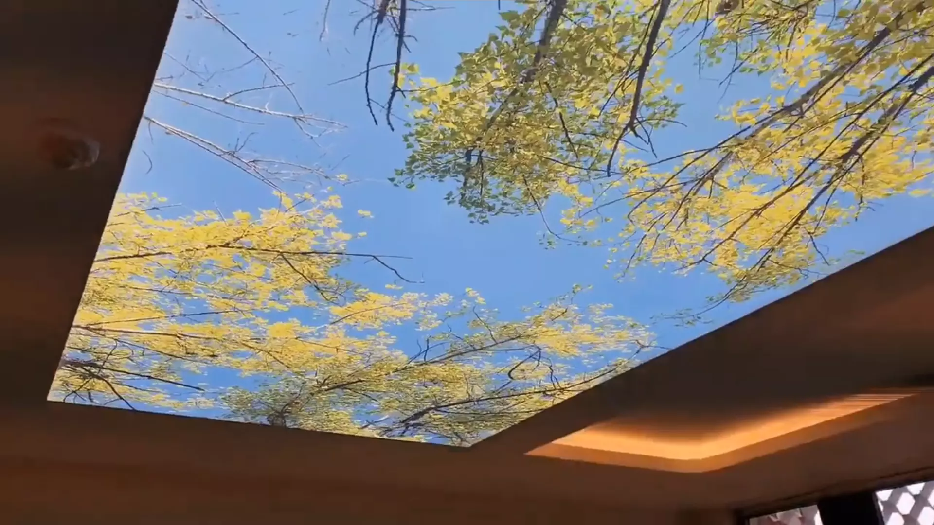 Херсон, Ленина, 26, фото 3